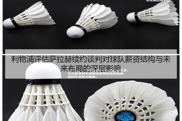 利物浦评估萨拉赫续约谈判对球队薪资结构与未来布局的深层影响（kaiyun）