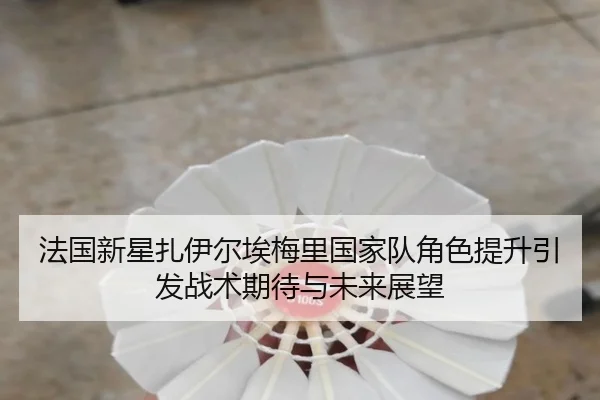 法国新星扎伊尔埃梅里国家队角色提升引发战术期待与未来展望